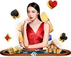 vip bet login
